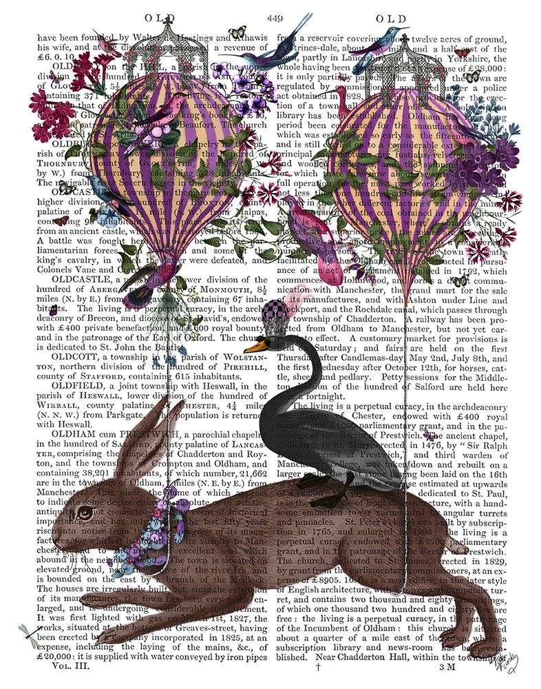Hare Birdkeeper, Hot Air Balloon