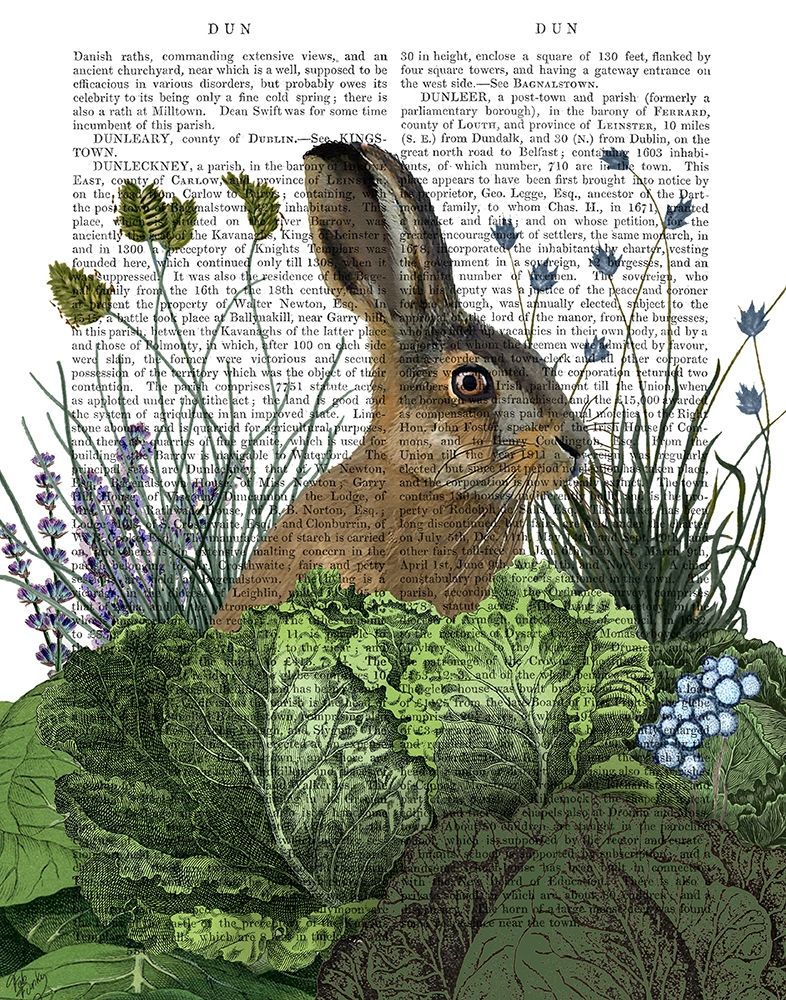 Cabbage Patch Rabbit 3