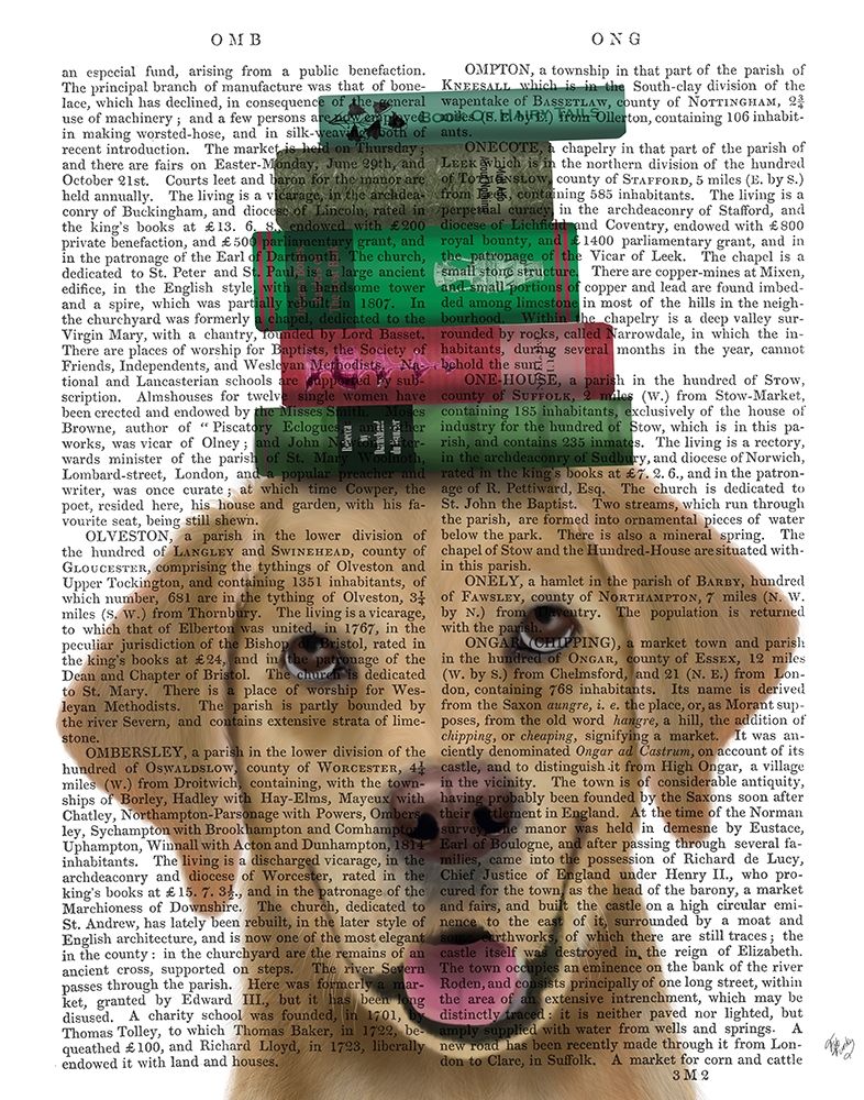 Yellow Labrador and Books