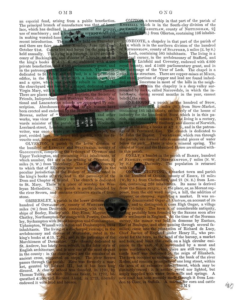 Yorkshire Terrier and Books