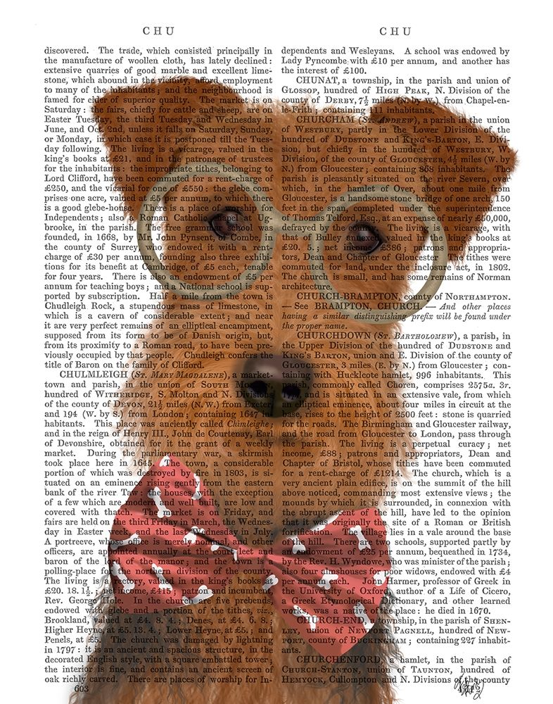 Airedale with Glasses and Bow Tie