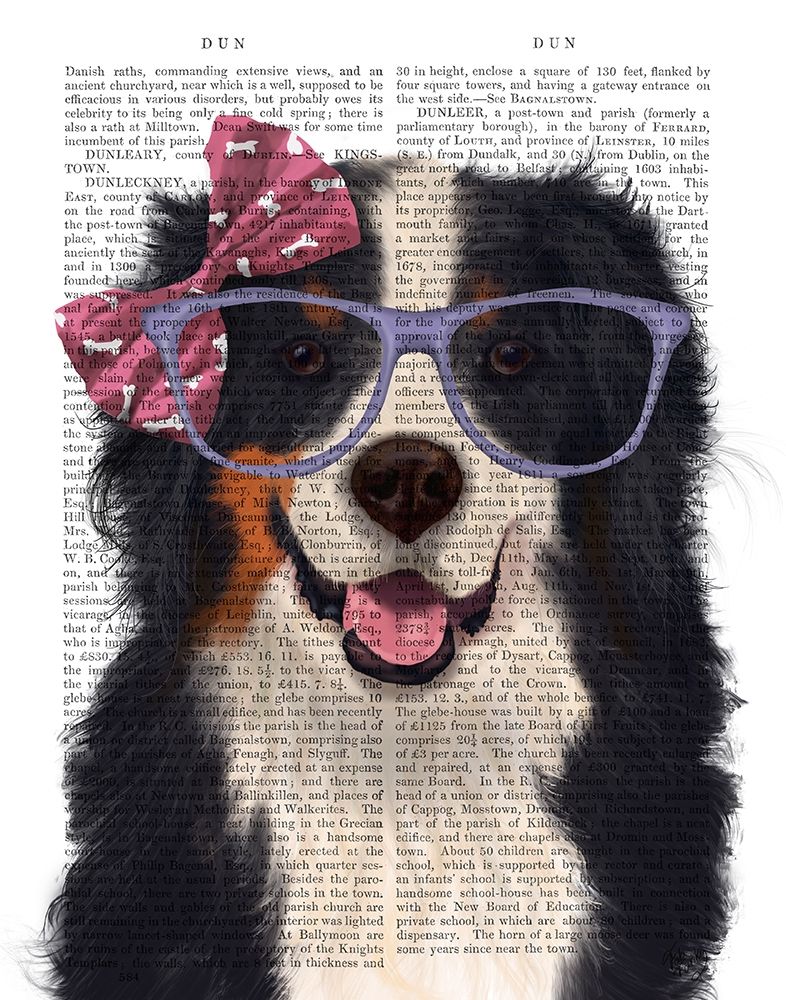Bernese with Glasses and Bow