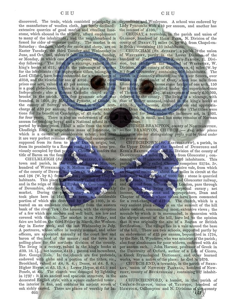 Bichon Frise with Glasses and Bow Tie