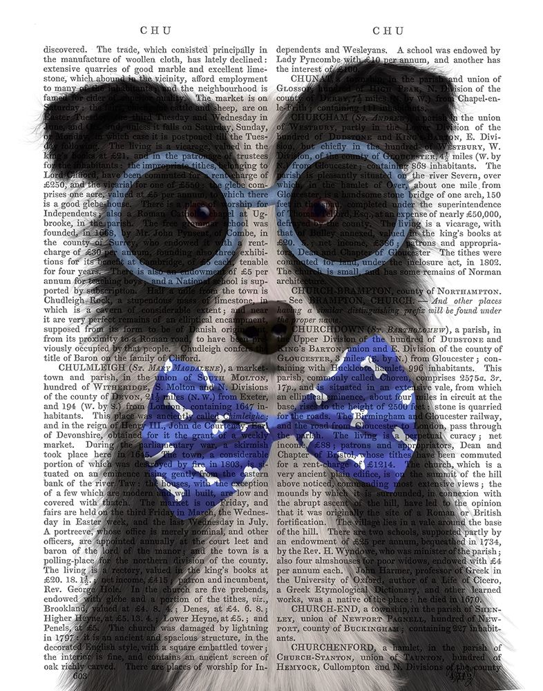 Border Collie, Black and White, with Glasses and Bow Tie