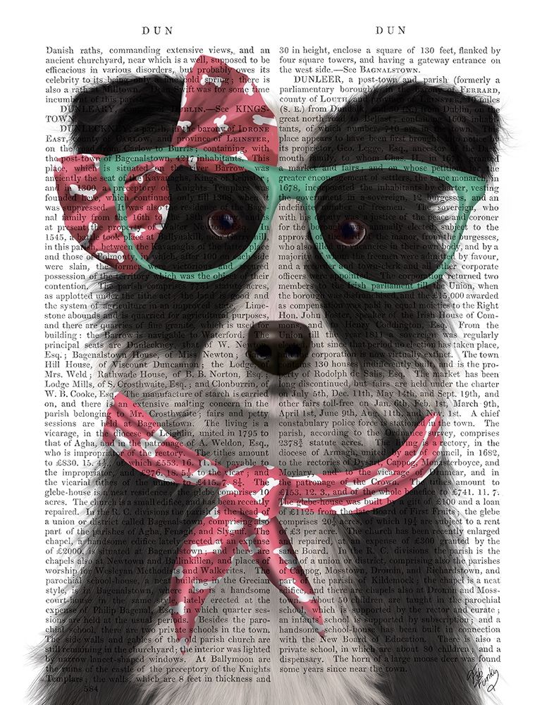 Border Collie, Black and White, with Glasses and Scarf