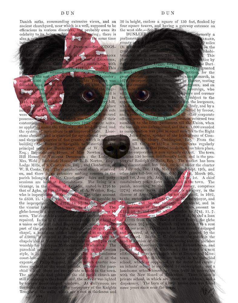 Border Collie, Tricolour, with Glasses and Scarf