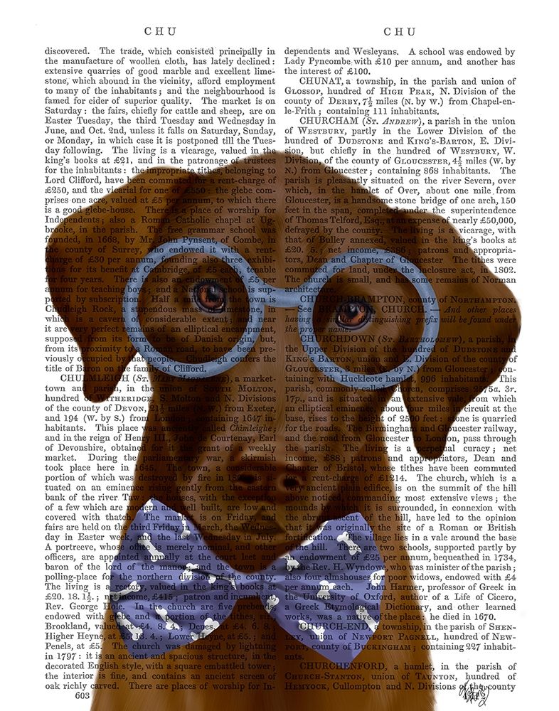 Chocolate Labrador with Glasses and Bow Tie