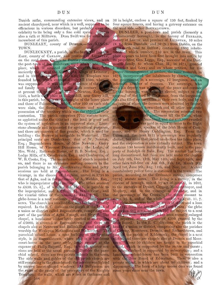 Cockerpoo, Apricot, with Glasses and Scarf