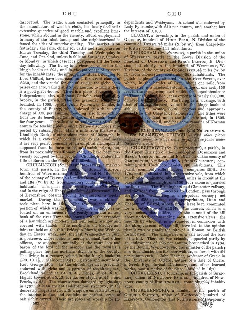 Cockerpoo, Blonde, with Glasses and Bow Tie