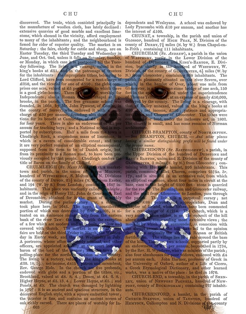 Golden Retriever, Glasses and Bow Tie