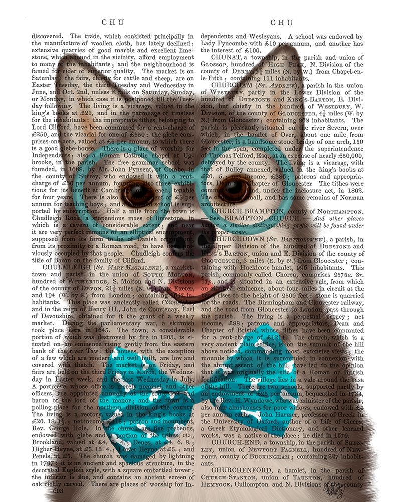Husky with Glasses and Bow Tie
