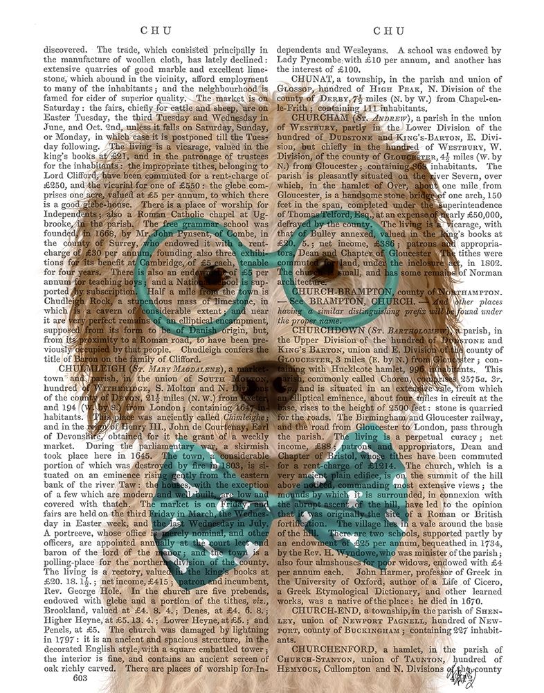 Labradoodle, Cream, with Glasses and Bow Tie