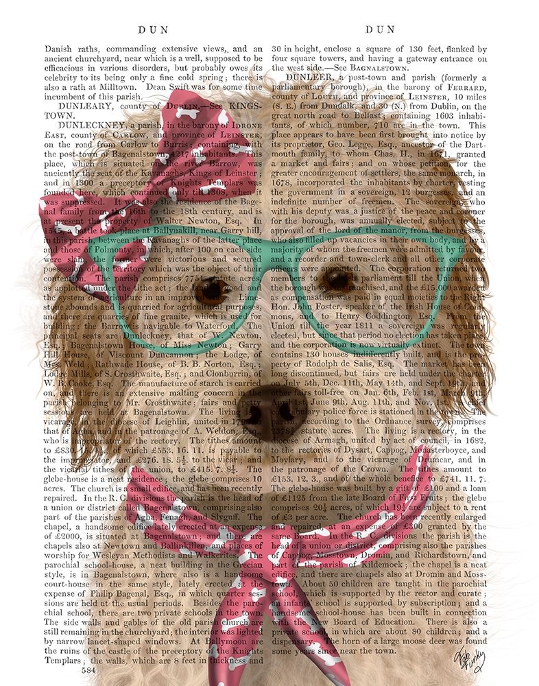 Labradoodle, Cream, with Glasses and Scarf