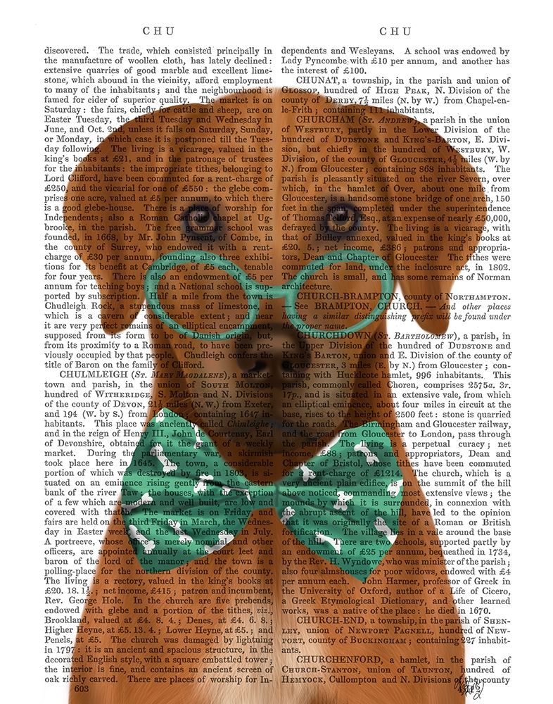 Rhodesian Ridgeback with Glasses and Bow Tie