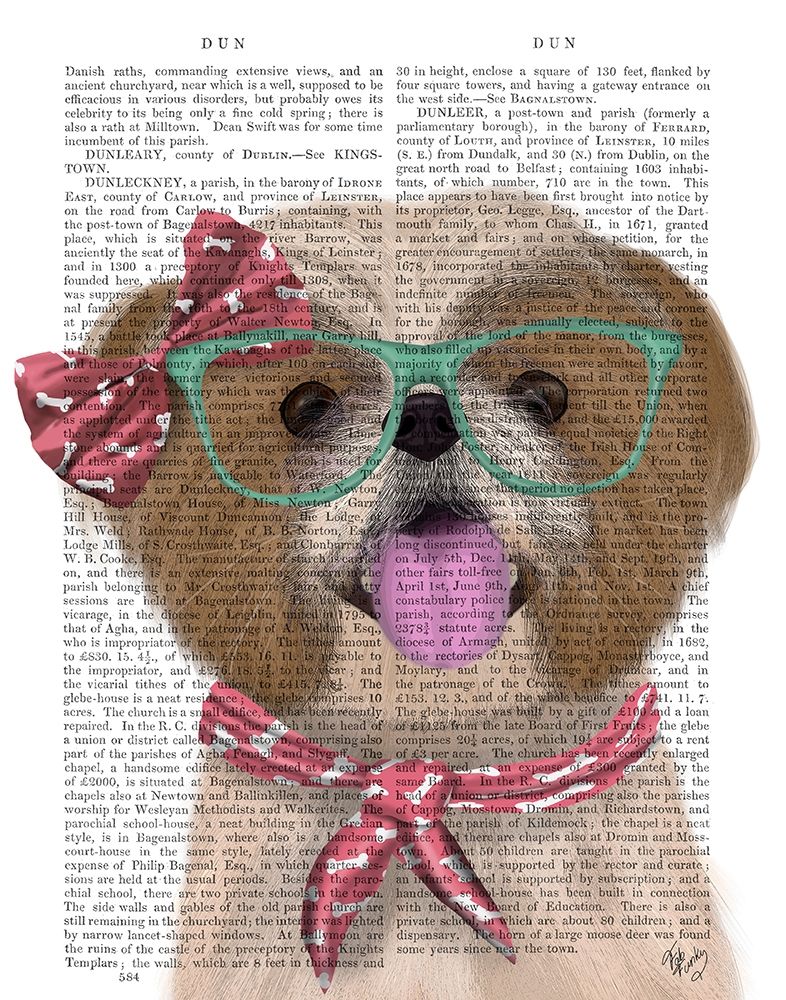 Shih Tsu with Glasses and Scarf