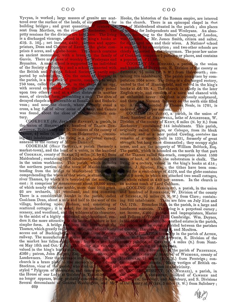 Airedale and Baseball Cap