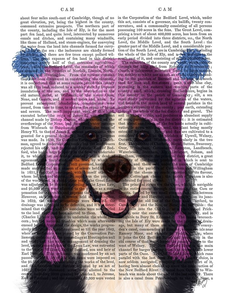 Bernese And Bobble Hat