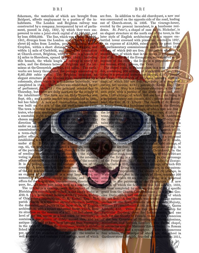 Bernese Ski Dog