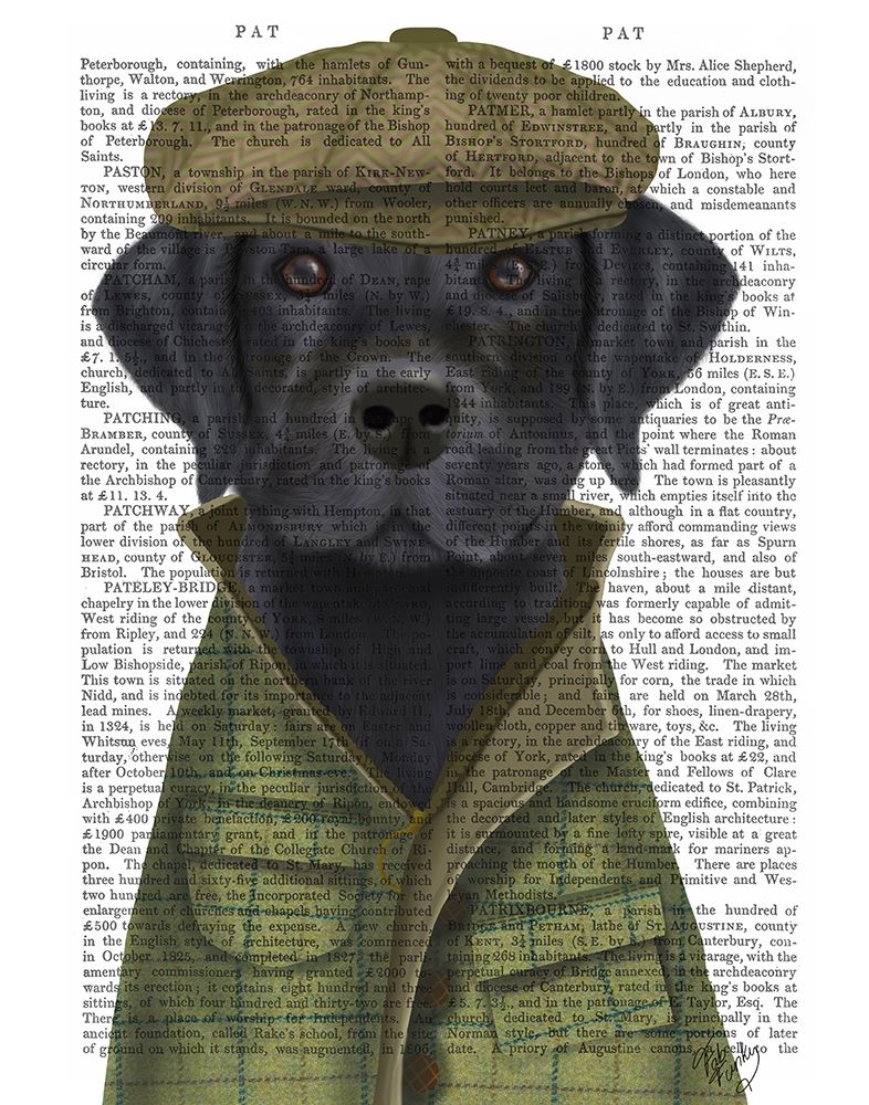 Black Labrador Country Dog