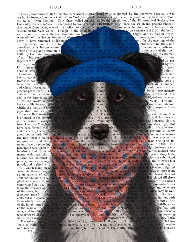 Border Collie in Blue Bobble Hat
