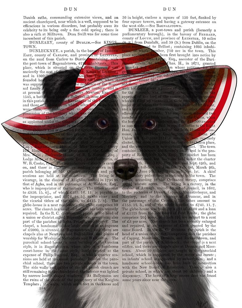 Border Collie in Red and White Floppy Hat