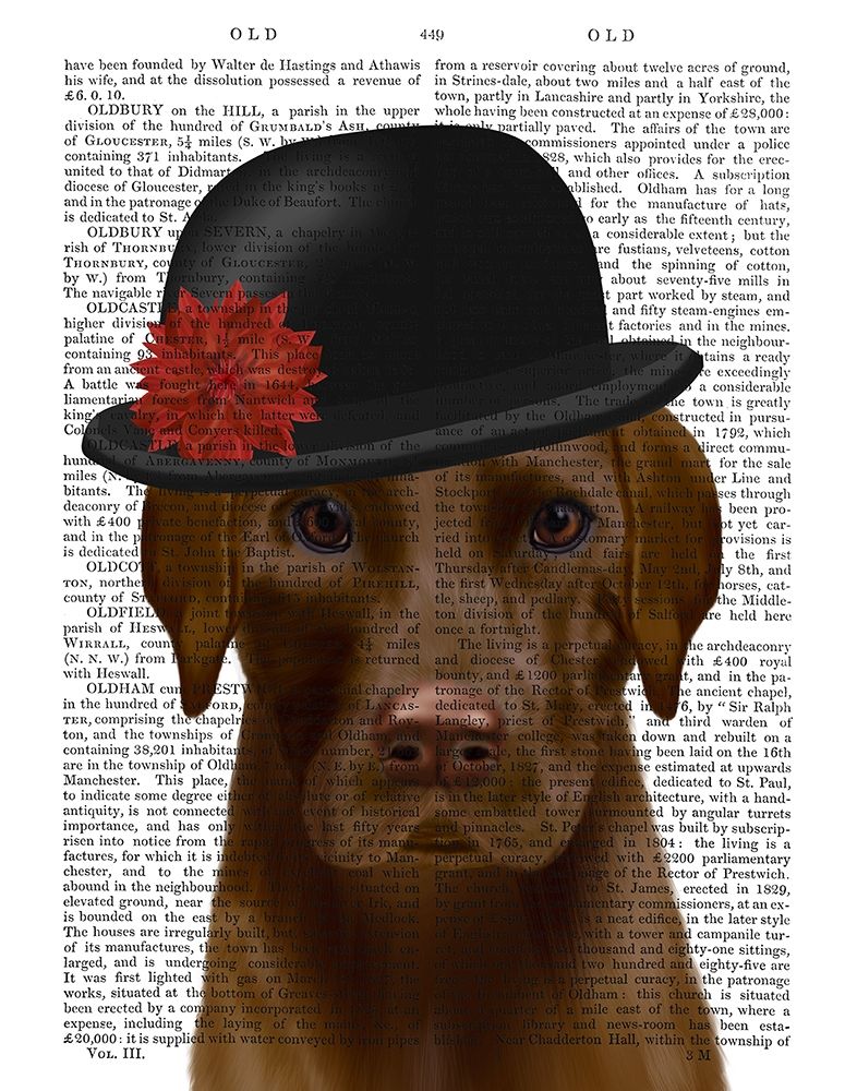Chocolate Labrador and Bowler