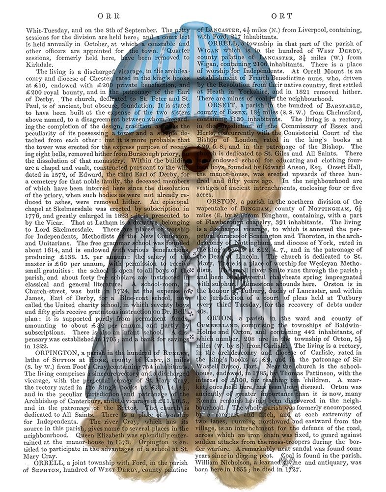 Cockerpoo Baseball