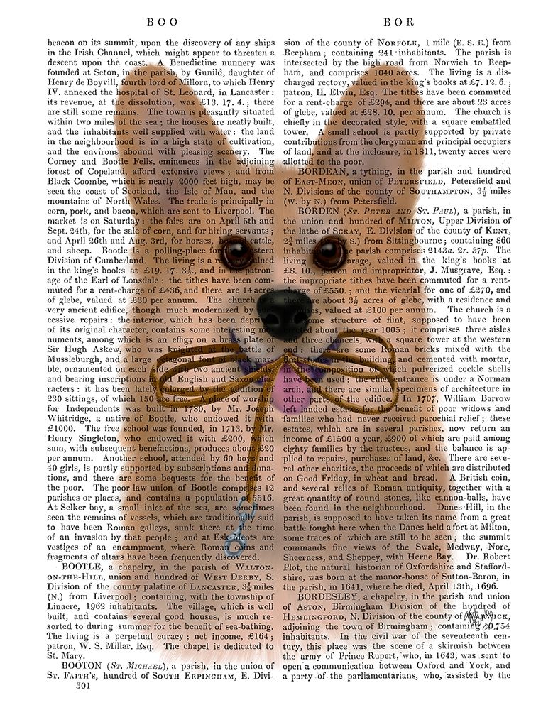 Corgi Walkies