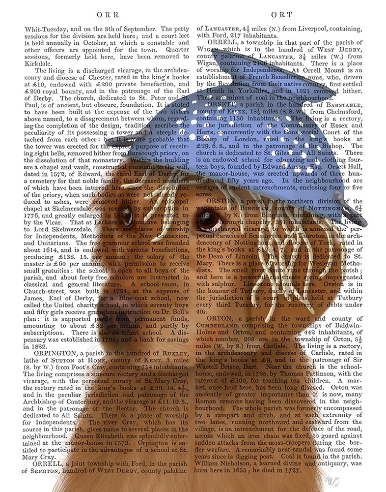 Golden Retriever and Spaghetti