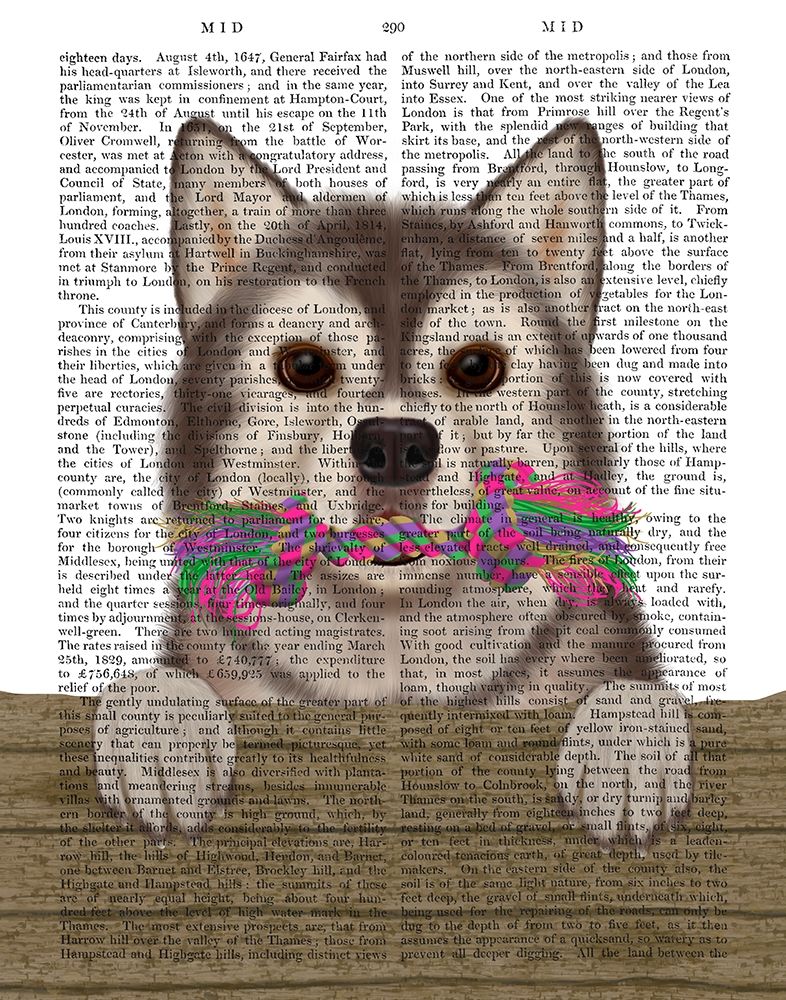 Husky and Rope Bone