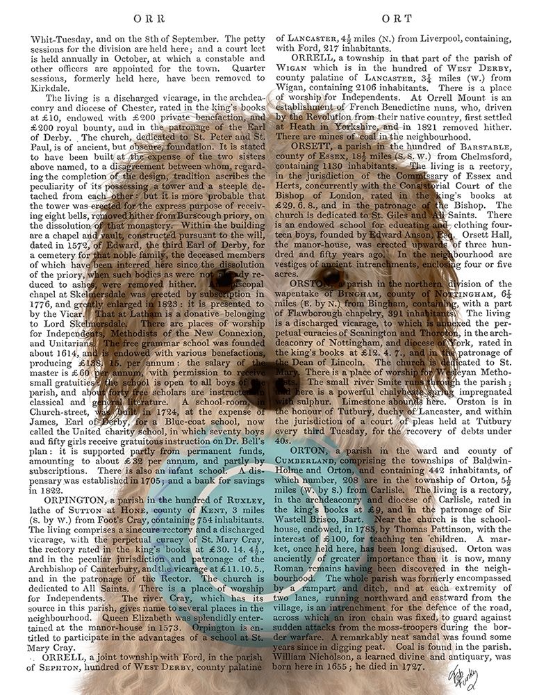 Labradoodle, Cream, Food Bowl