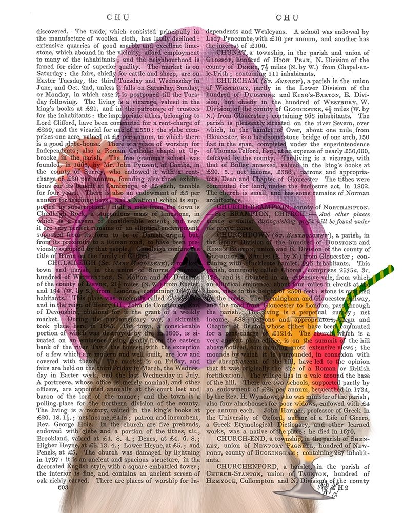 Shih Tzu with Cocktail
