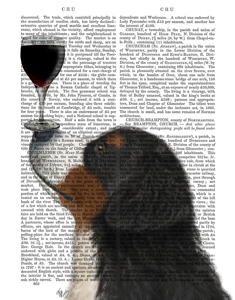 Dog Au Vin, Bernese