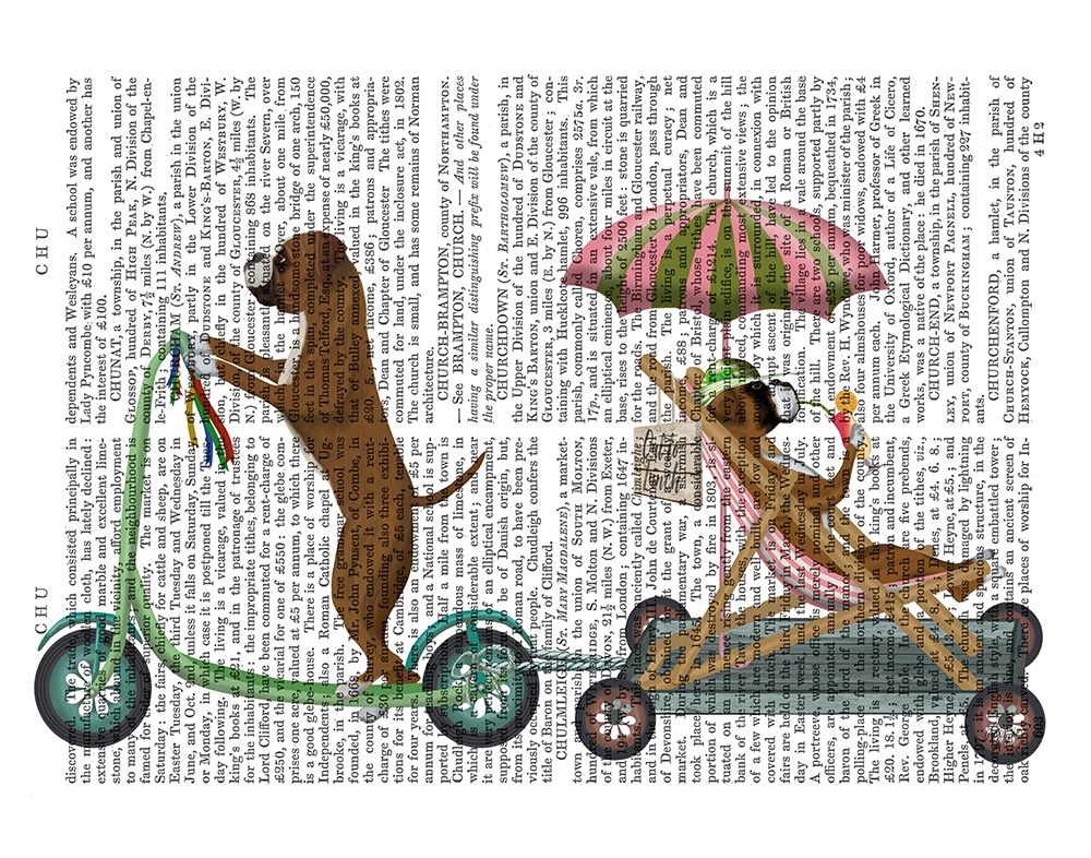 Boxer Scooter
