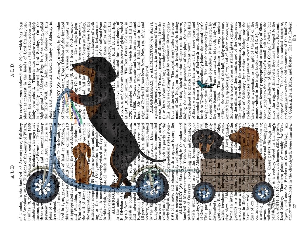 Dachshund Scooter