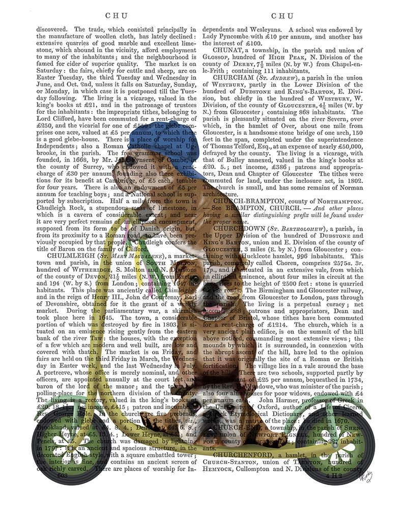 English Bulldog Scooter