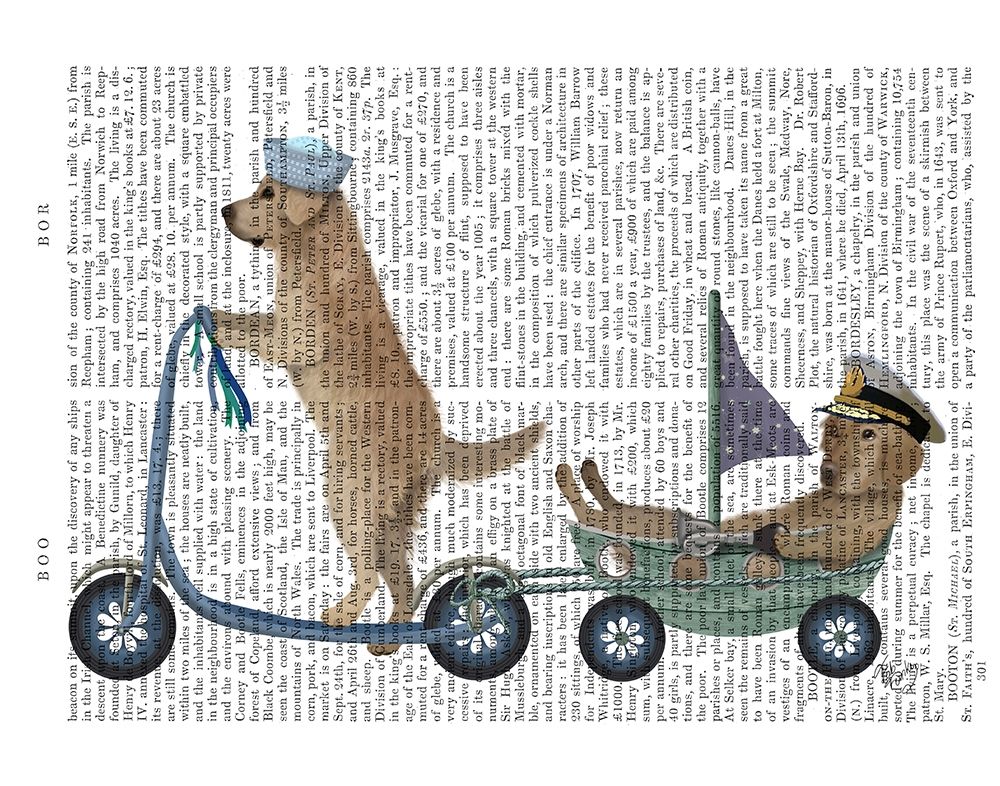 Golden Retriever Scooter