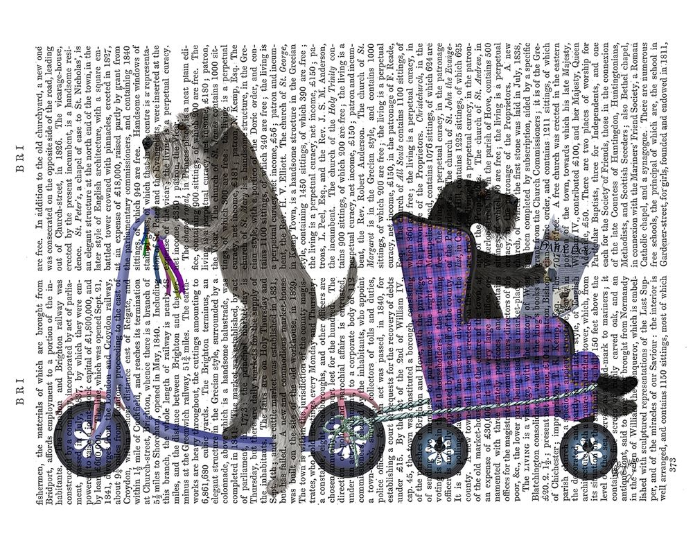 Schnauzer Scooter
