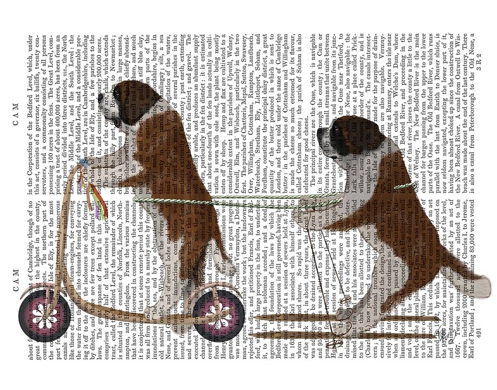 StBernard Scooter