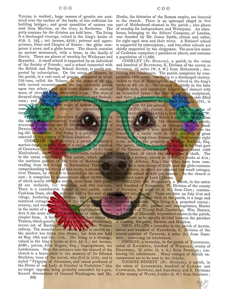 Yellow Labrador and Flower Glasses