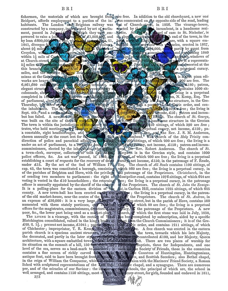 Butterfly Heart Bush, Blue and Yellow