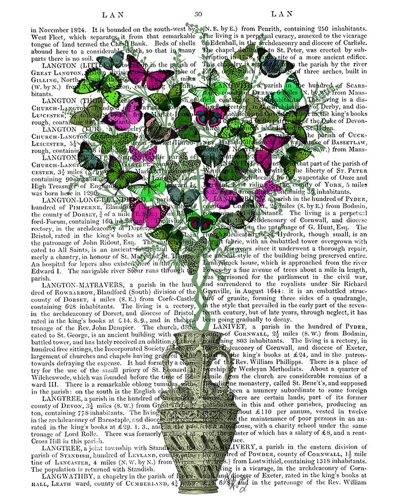 Butterfly Heart Bush, Green and Pink