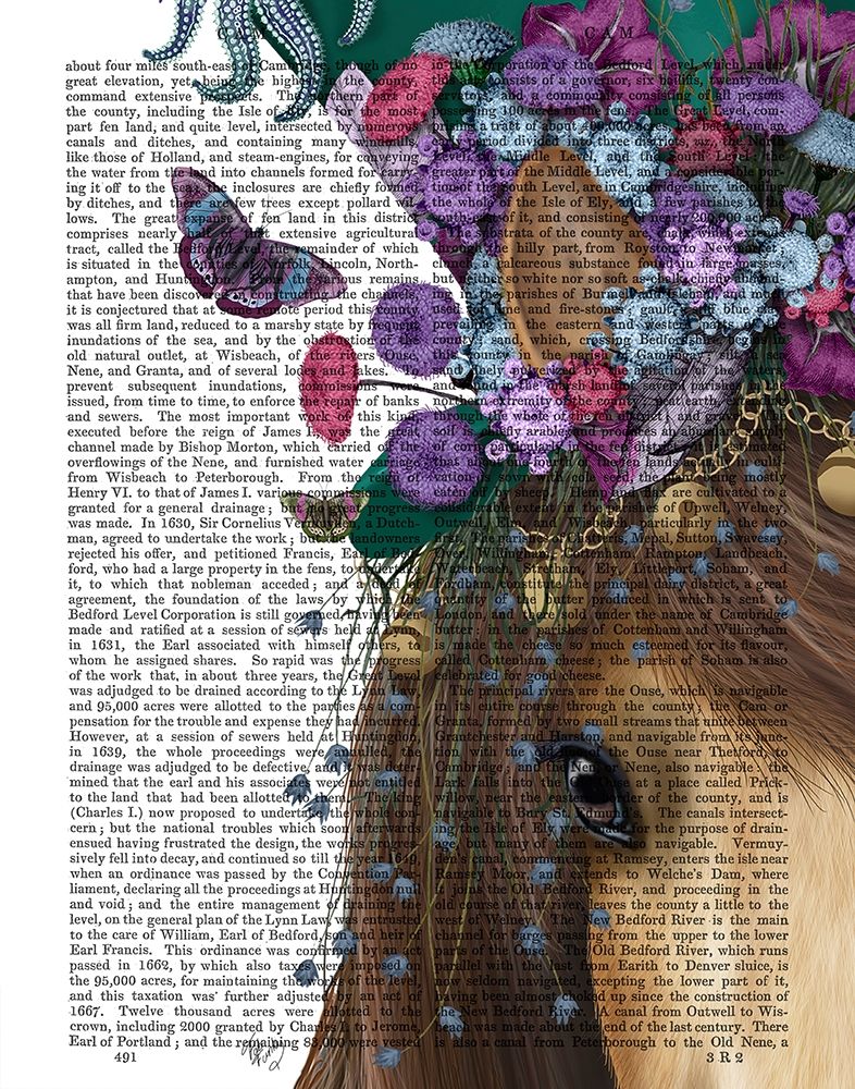 Horse Mad Hatter, Close Up