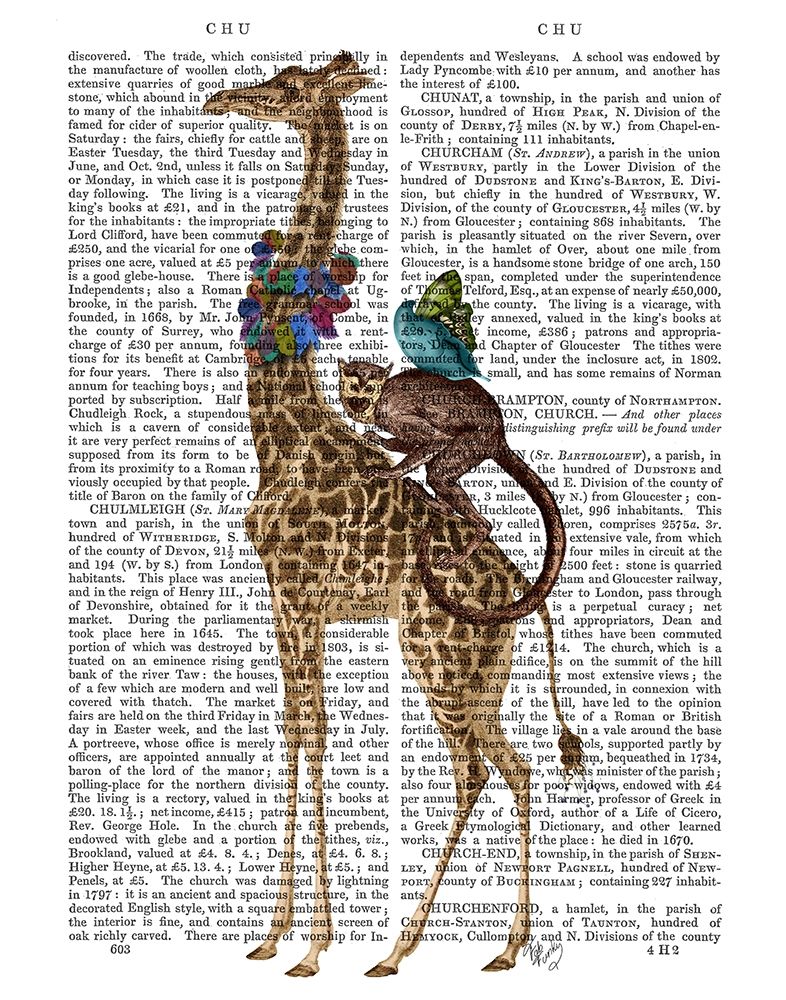 Giraffe and Monkey