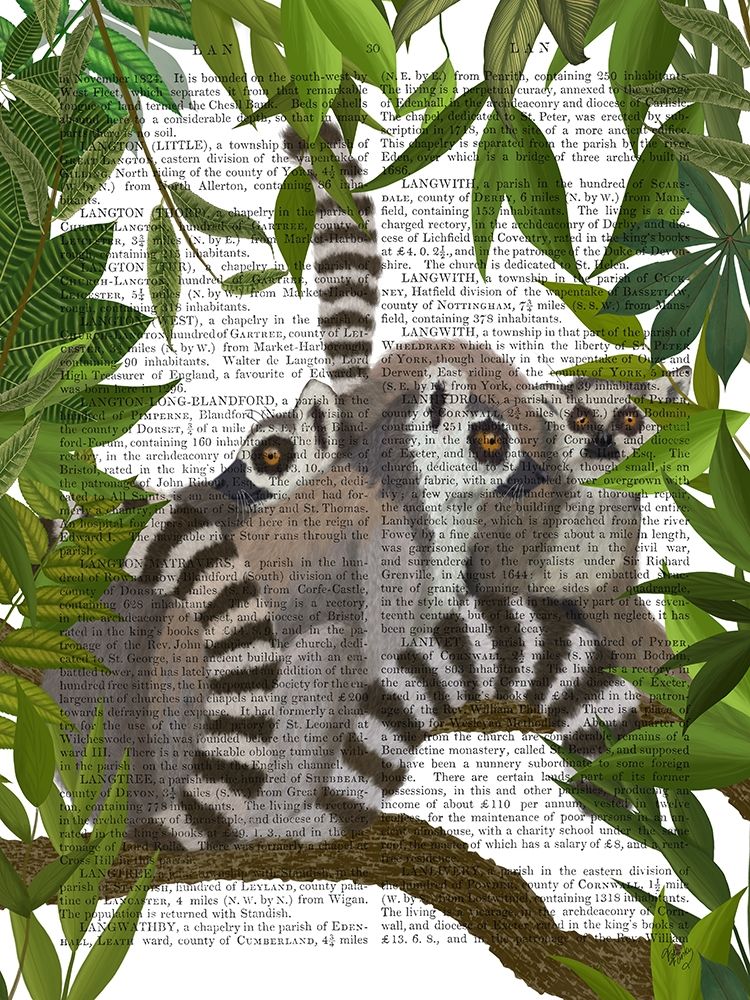 Lemur Family in Canopy