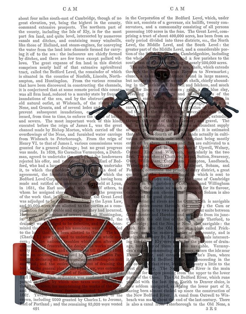 Great Dane Chopper and Sidecar
