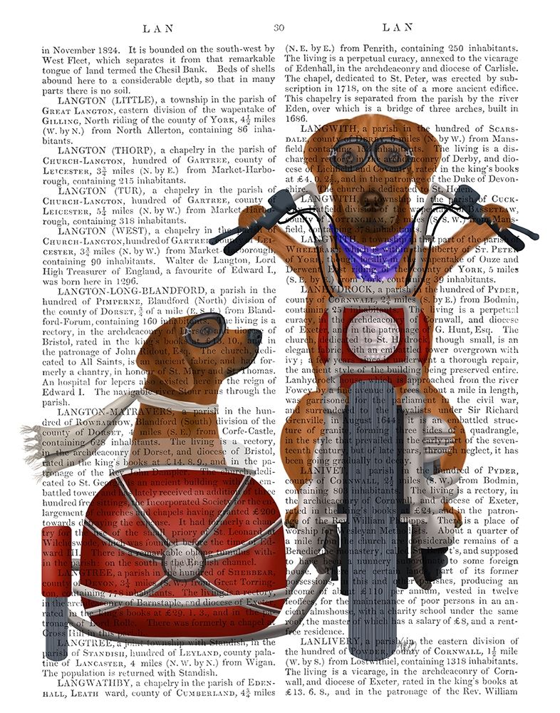Rhodesian Ridgeback Chopper and Sidecar