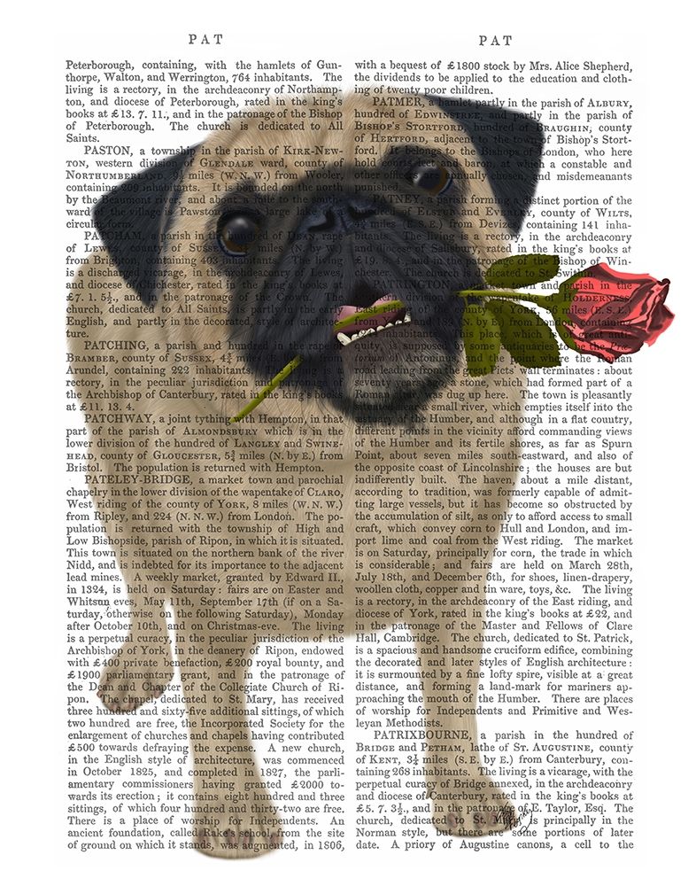 Pug and Rose