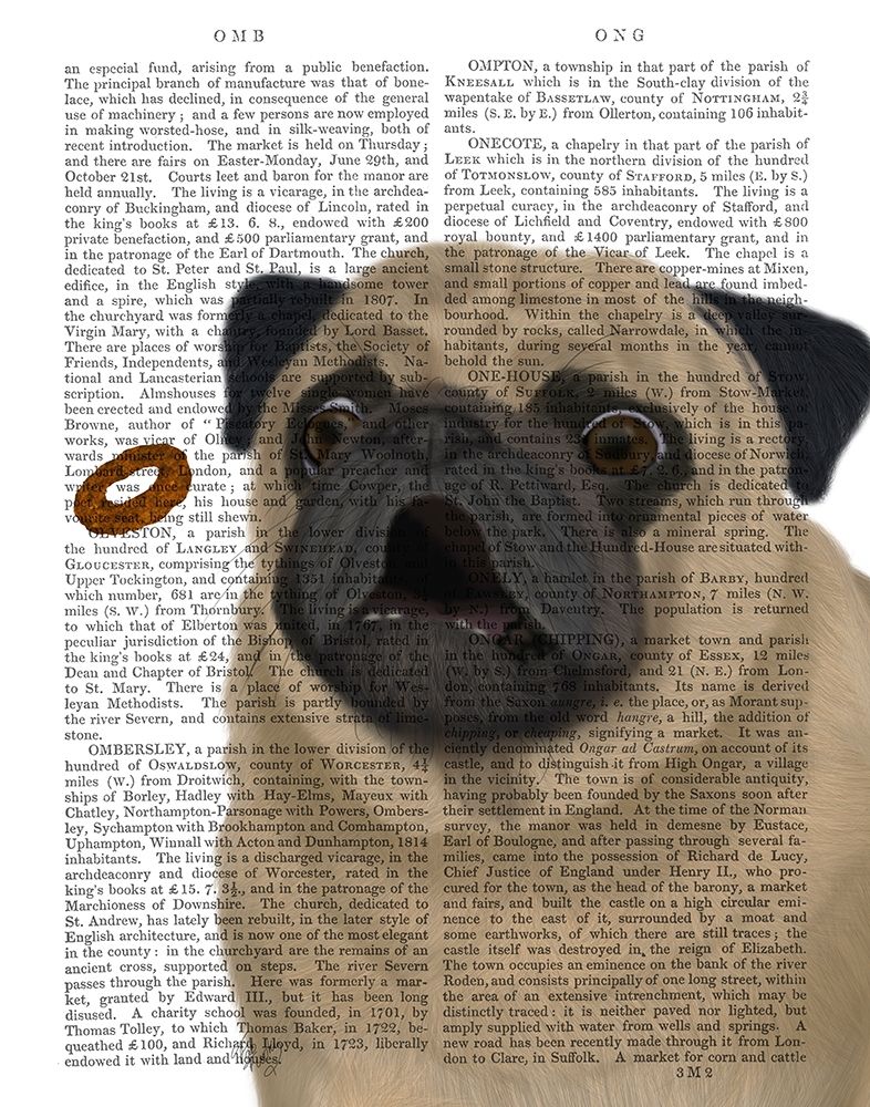 Pug, Catch 1