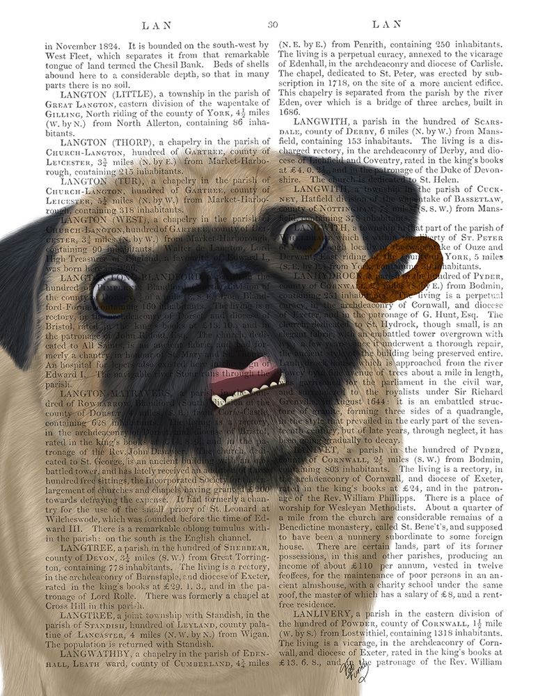 Pug, Catch 2
